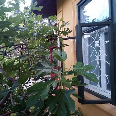 Apartman Kundalini